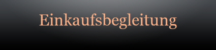 Einkaufsbegleitung